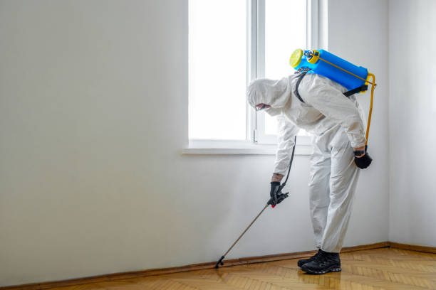Best Wildlife Control Services  in Slinger, WI