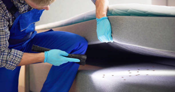 Best Residential Pest Control  in Slinger, WI