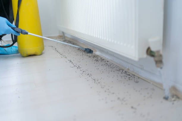 Best Pest Control Treatment  in Slinger, WI