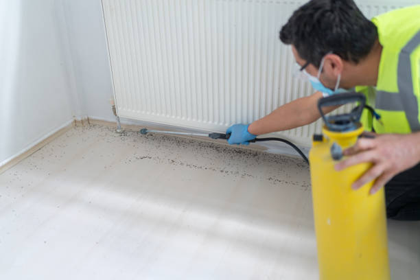 Best Bed Bug Extermination  in Slinger, WI
