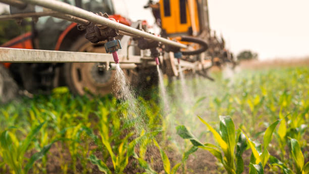 Reliable Slinger, WI Pest Control Solutions